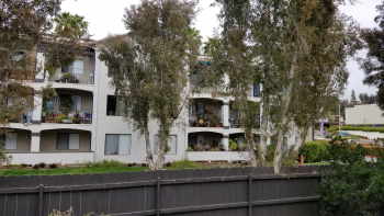 A title element for this placeholder image. Placeholder Image and Some Alt Text